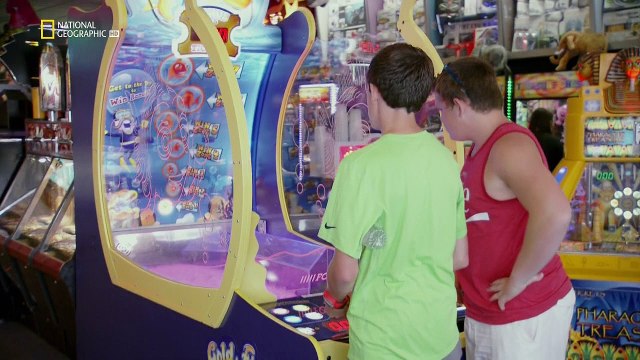 Игры разума. Жизнь мозга