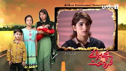 Bachay Baraye Farokht - Episode 37 - Urdu1