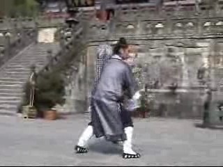 Wu Xing Quan (boxe des 5 éléments)
