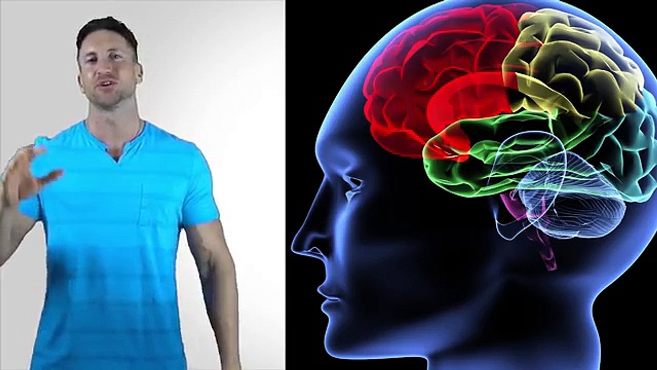 Brain Supplements That Work - The Best Brain Supplements in 2016 Revealed!