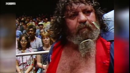 Capt. Lou Albano tribute