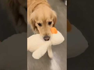 Shopping Makes This Cutie Very Happy