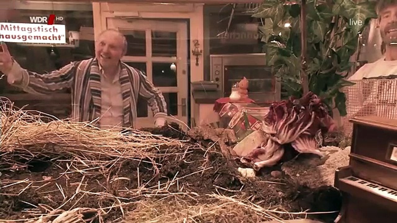 Dittsche's und kliemann's terrarion für schildi's schildkröte