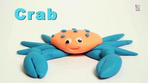 Play Doh Crab | Play Doh Ocean Animals | Learn Ocean Animals | Kids Learning Videos
