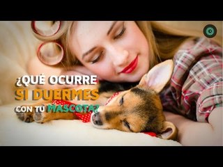 ¿Qué ocurre si duermes con tu mascota?
