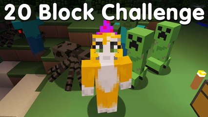 Minecraft PS4 - 20 Block Challenge (1)