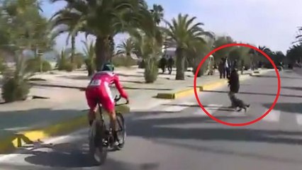 Peter Sagan (Tirreno-Adriatico 2017)