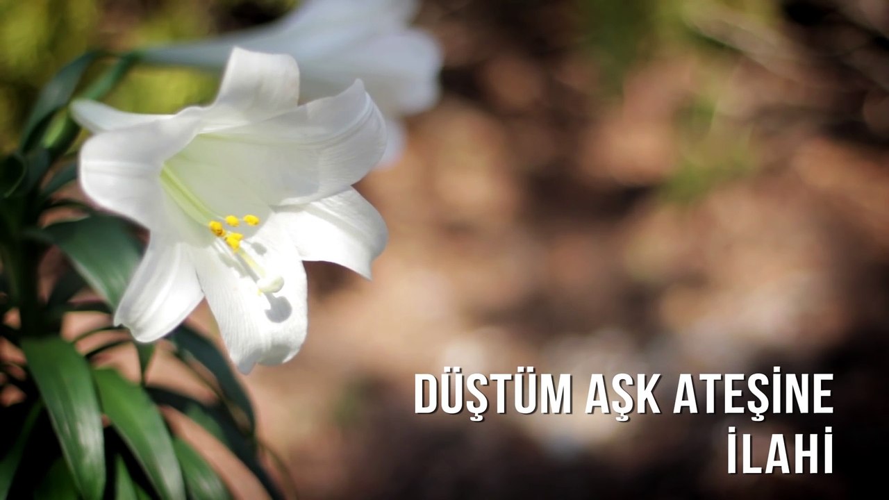 Müziksiz İlahiler - Düştüm Aşk Ateşine