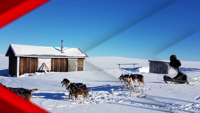 Voyage en laponie Jour 04 Ammarnäs avec les Norrland Husky