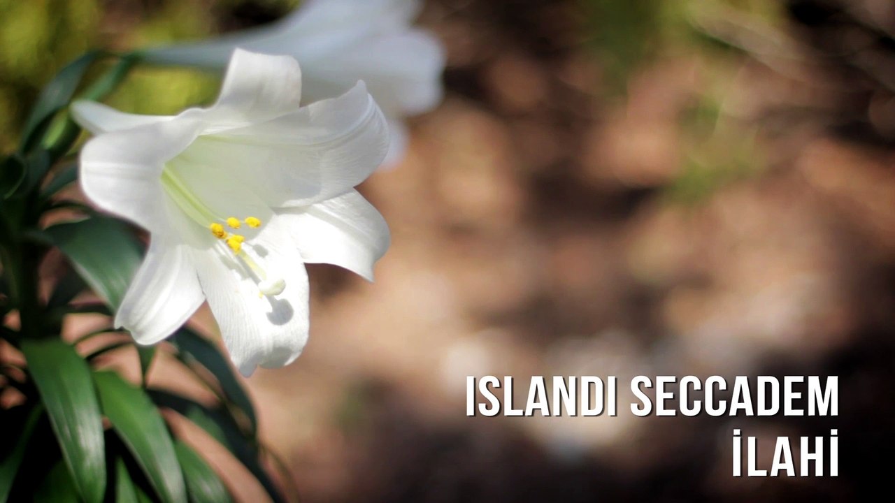 Müziksiz İlahiler -  Islandı Seccadem