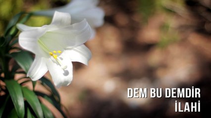 Müziksiz İlahiler - Dem Bu Demdir