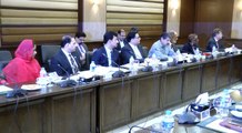 CM Punjab meeting with Country Director Asian Development Bank 07-03-2017