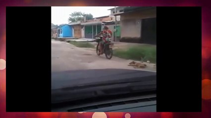 MULHER QUE APARECE ARRASTANDO CACHORRO EM VÍDEO É DETIDA EM BELÉM