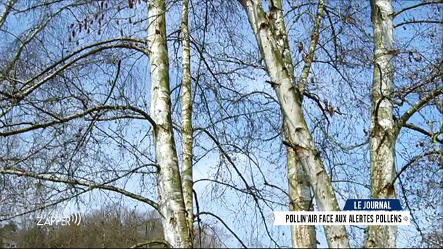 Juste Avant de Zapper - Mardi 14 mars - Label Sport Metz - Pollin'Air - Cabanes, festival de Moselle - Autre Canal