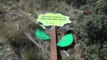 Fethiye Protesto Için Dikilen Sembolik Ağaçlar da Kesildi