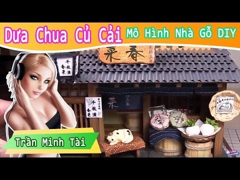 Bộ kit cửa hàng bán dưa chua củ cải của nhật bản | Mô Hình Nhà Gỗ DIY