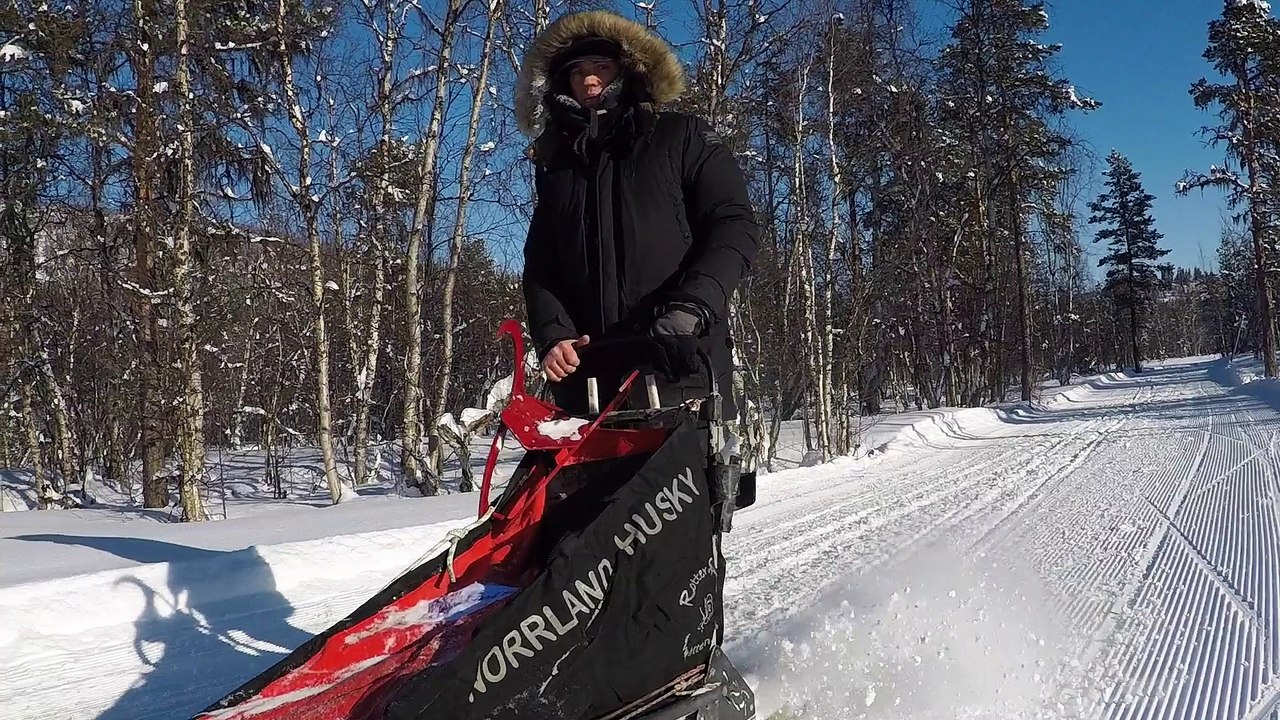 Voyage en laponie à Ammarnas avec les Norrland Husky jour 01 mars 2017