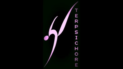 Rétrospective Stages 2016-17 organisés par Terpsichore (Oloron - 64)