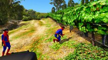 Spiderman Police Car Cartoon - Policeman SuperHero for Kids & Nursery Rhymes songs for Chi