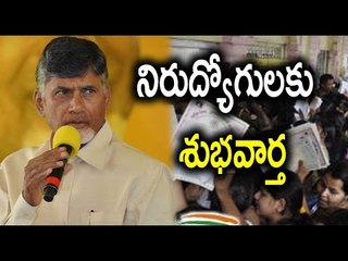 AP CM Ready to Provide Unemployment Allowance (Nirudhyoga Bruthi) - Oneindia Telugu