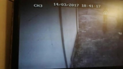 Camiden Hırsızlık Güvenlik Kamerasında