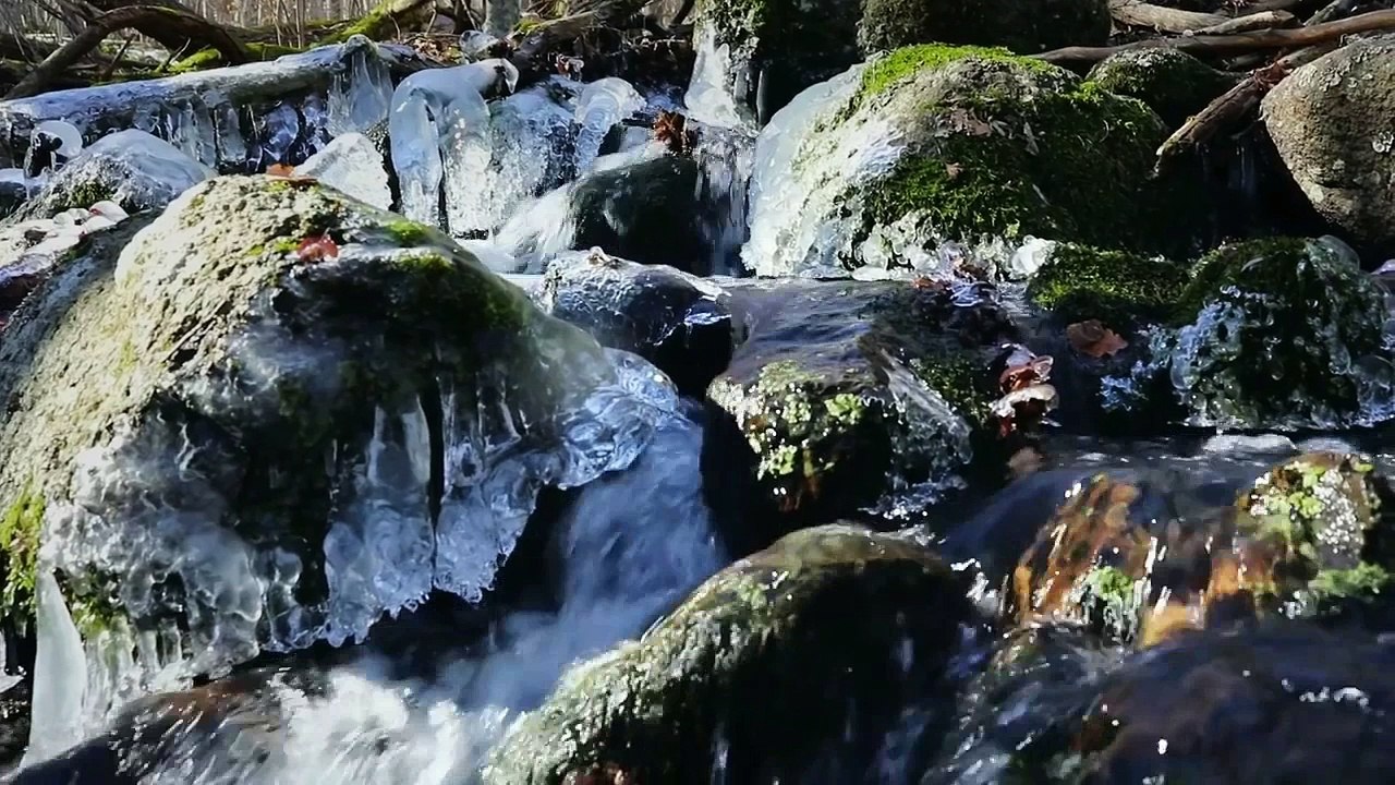 TOPLICKI USTANAK - DA SE NE ZABORAV