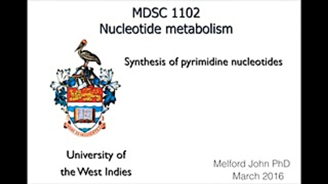 purine and pyrimidine synthesis and break down  (metabolism )