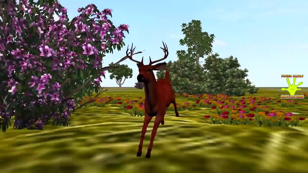 Animal Attacks Finger Family | Wild Animals Finger Family Rhymes | Elephant, Lion, Deer &