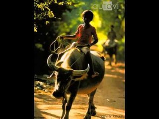 Tiếng sáo gọi người yêu - Sáo Ngọc Phan