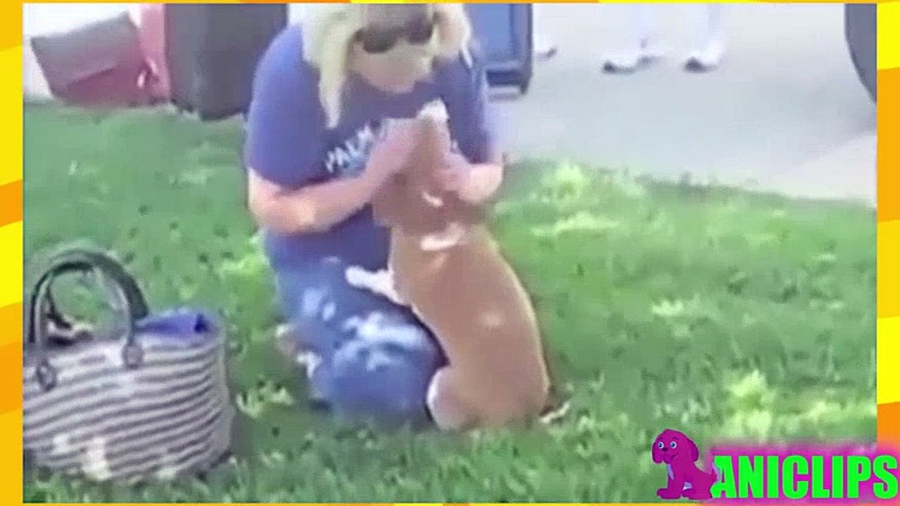 Dogs Crying When He Meets Owner After Long Time