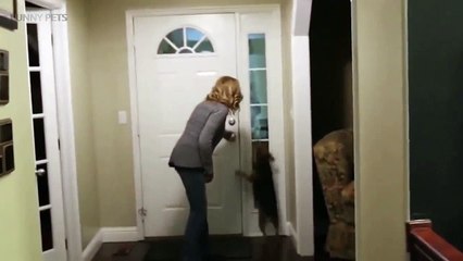 TRY NOT TO CRY Dogs Meet Their Owner After Long Time