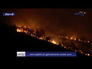 Fire Accident in Tirupati Forest | திருப்பதி வனப்பகுதியில் தீ விபத்து- Oneindia Tamil