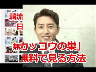 「カッコウの巣」韓国ドラマを第1話から最終回まで無料で日本語字幕で見る方法！高画質