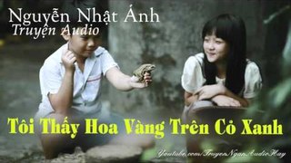 Blog truyện ngắn audio Nguyễn Nhật Ánh || TÔI THẤY HOA VÀNG TRÊN CỎ XANH || blog radio truyện audio