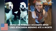 Dono de pitbulls enfrenta acusação de homicídio culposo após seus cães matarem um menino a caminho da escola.