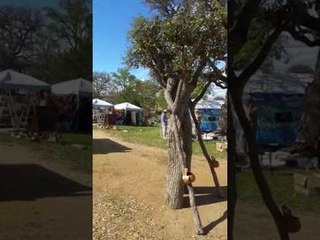 Ce costume est juste impressionnant !