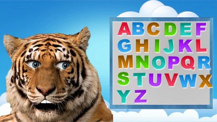 Animals ABC Song || Lion, Tiger, Elephant, ABC Song || Cartoon Children Song || Kids Colle