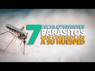 7 Escalofriantes PARÁSITOS que CONTROLAN a su huésped