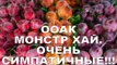 Милый высокая Это монстр очень ооак монстер хай очень симпатичные ooak