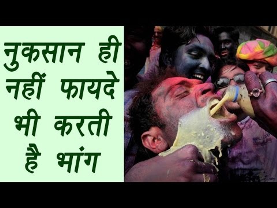 Bhang (Hemp), भांग | Advantage and Disadvantage...