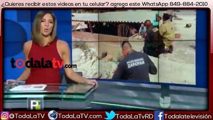 Un león se escapa de una granja, mira lo que paso!-Primer Impacto-Video