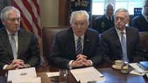 President Donald Trump Meets With His Cabinet