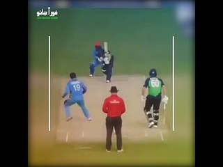 Check out the Celebration of Afghani Player Muhamamd Shehzad After Doing Stumping LOGO