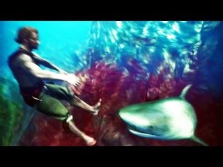 Assassin's Creed 4 The Black Flag Diaries