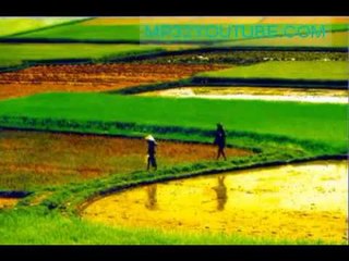 Lý kéo chài - Sáo trúc NSƯT Tiến Vượng