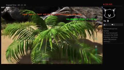 Wut in tarnation (3)