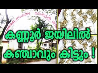 Ganja Caught From Kannur Jail - Oneindia Malayalam