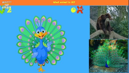 Детка ребенок игра счастливый Дети тв