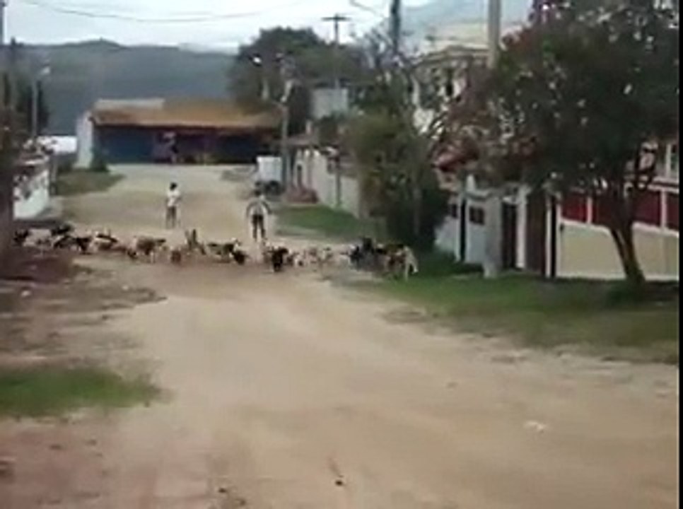 Minha Nossa!