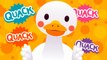 Six Little Ducks | Nursery Rhymes | Baby Songs | Kids Songs | The Kiboomers